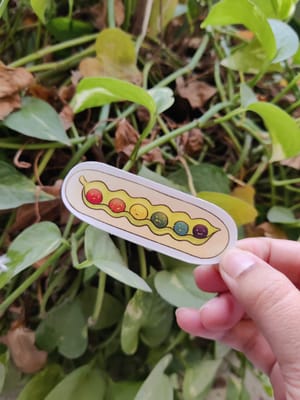 Rainbow Peas
